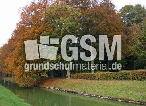 Herbststimmung-23-10-09 031.jpg